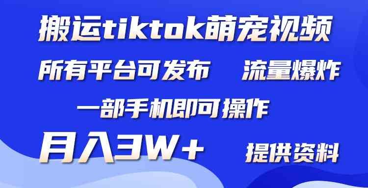 （9618期）搬运Tiktok萌宠类视频，一部手机即可。所有短视频平台均可操作，月入3W+-狂神云浏览专注活动，软件，教程分享！总之就是网络那些事。