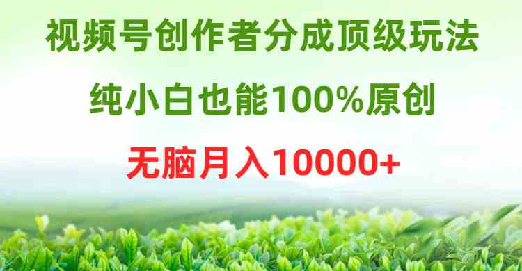 （9608期）视频号创作者分成顶级玩法，纯小白也能100%原创，无脑月入10000+-狂神云浏览专注活动，软件，教程分享！总之就是网络那些事。