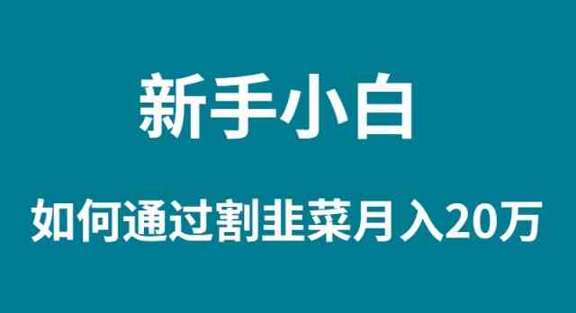 （9308期）新手小白如何通过割韭菜月入 20W-狂神云浏览专注活动，软件，教程分享！总之就是网络那些事。