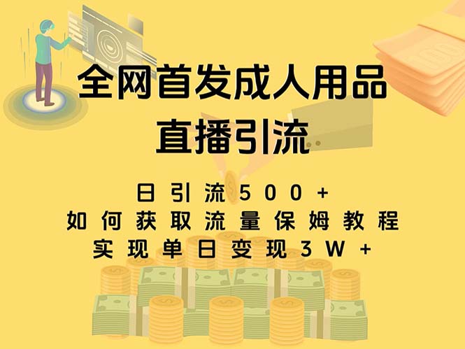 （8193期）最新全网独创首发，成人用品直播引流获客暴力玩法，单日变现3w保姆级教程-狂神云浏览专注活动，软件，教程分享！总之就是网络那些事。