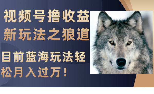 （8042期）视频号撸收益新玩法之狼道，目前蓝海玩法轻松月入过万！-狂神云浏览专注活动，软件，教程分享！总之就是网络那些事。