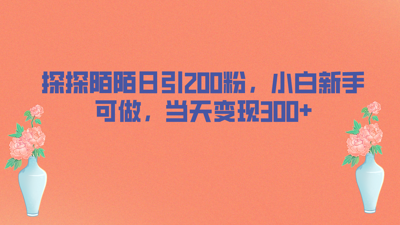 （6817期）探探陌陌日引200粉，小白新手可做，当天就能变现300+-狂神云浏览专注活动，软件，教程分享！总之就是网络那些事。