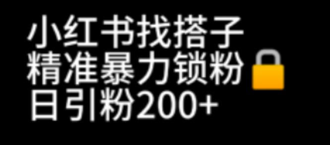 （6807期）小红书找搭子暴力精准锁粉+引流日引200+精准粉-狂神云浏览专注活动，软件，教程分享！总之就是网络那些事。