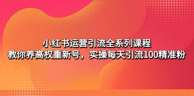 （4950期）小红书运营引流全系列课程：教你养高权重新号，实操每天引流100精准粉-狂神云浏览专注活动，软件，教程分享！总之就是网络那些事。