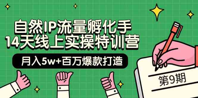 （9881期）自然IP流量孵化手 14天线上实操特训营【第9期】月入5w+百万爆款打造 (74节)-狂神云浏览专注活动，软件，教程分享！总之就是网络那些事。