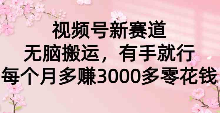 （9278期）视频号新赛道，无脑搬运，有手就行，每个月多赚3000多零花钱-狂神云浏览专注活动，软件，教程分享！总之就是网络那些事。
