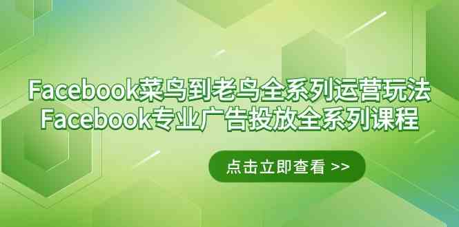 （9065期）Facebook-菜鸟到老鸟全系列运营玩法+Facebook-专业广告投放全系列课程-狂神云浏览专注活动，软件，教程分享！总之就是网络那些事。