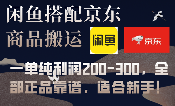 （7892期）闲鱼搭配京东备份库搬运，一单纯利润200-300，全部正品靠谱，适合新手！-狂神云浏览专注活动，软件，教程分享！总之就是网络那些事。