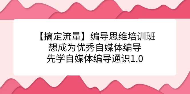 （7281期）【搞定流量】编导思维培训班，想成为优秀自媒体编导先学自媒体编导通识1.0-狂神云浏览专注活动，软件，教程分享！总之就是网络那些事。