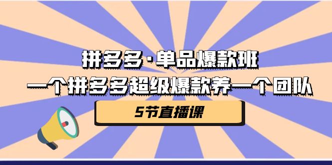（7019期）拼多多·单品爆款班，一个拼多多超级爆款养一个团队（5节直播课）-狂神云浏览专注活动，软件，教程分享！总之就是网络那些事。
