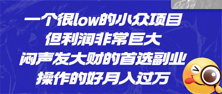（6601期）一个很low的小众项目，但利润非常巨大，闷声发大财的首选副业，月入过万-狂神云浏览专注活动，软件，教程分享！总之就是网络那些事。