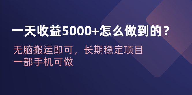 （6435期）一天收益5000+怎么做到的？无脑搬运即可，长期稳定项目，一部手机可做-狂神云浏览专注活动，软件，教程分享！总之就是网络那些事。