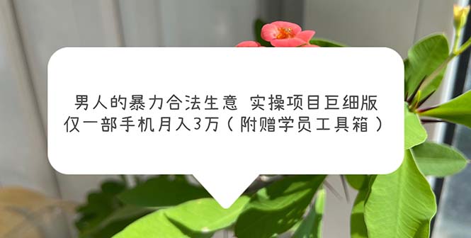 （5962期）男人的暴力合法生意实操项目巨细版：仅一部手机月入3w（附赠学员工具箱）-狂神云浏览专注活动，软件，教程分享！总之就是网络那些事。