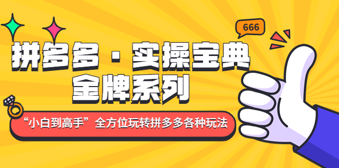 （4934期）拼多多·实操宝典：金牌系列“小白到高手”带你全方位玩转拼多多各种玩法-狂神云浏览专注活动，软件，教程分享！总之就是网络那些事。