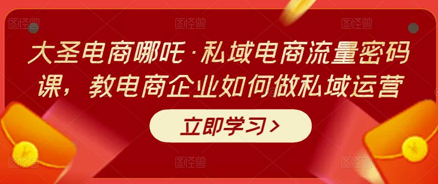 大圣电商哪吒·私域电商流量密码课，教电商企业如何做私域运营-狂神云浏览专注活动，软件，教程分享！总之就是网络那些事。