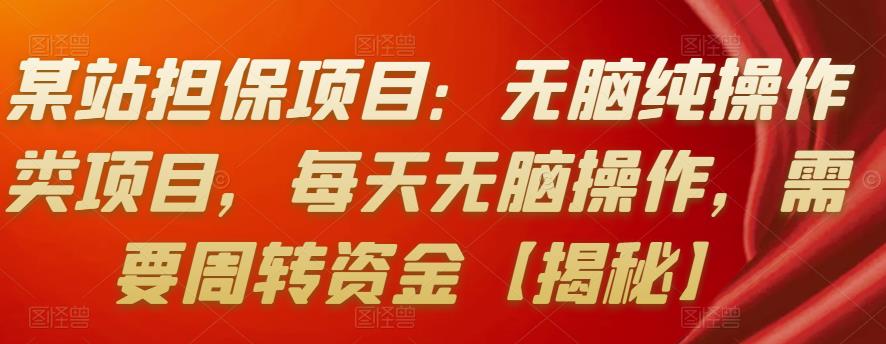 某站担保项目：无脑纯操作类项目，每天无脑操作，需要周转资金【揭秘】-狂神云浏览专注活动，软件，教程分享！总之就是网络那些事。