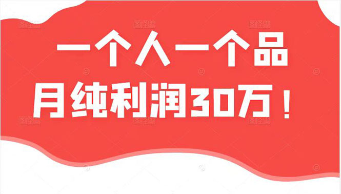 （2343期）某公众号付费文章：一个人一个品月纯利润30万的蓝海电商经典案例！-狂神云浏览专注活动，软件，教程分享！总之就是网络那些事。