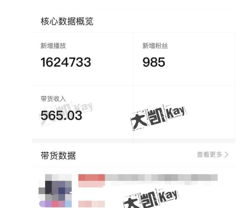 大凯进阶圈新玩法之拼多多视频玩法，利润大概一个号一天能有500~1500的左右!-狂神云浏览专注活动，软件，教程分享！总之就是网络那些事。