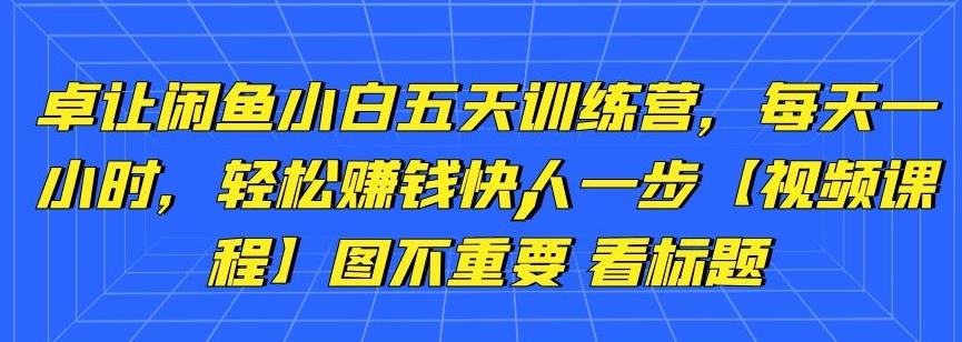 卓让闲鱼小白五天训练营，每天一小时，轻松赚钱快人一步【视频课程】-狂神云浏览专注活动，软件，教程分享！总之就是网络那些事。