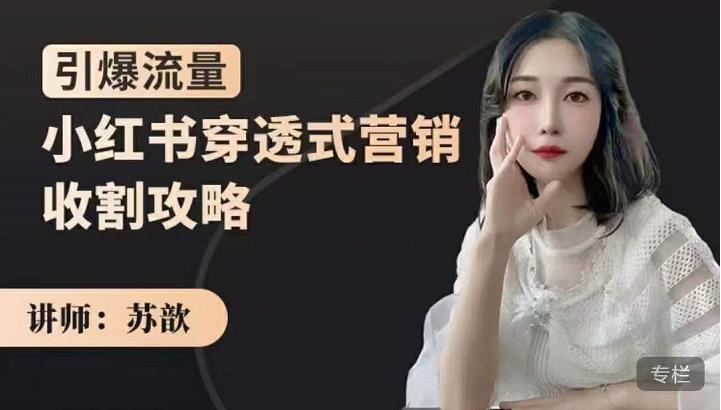 苏歆：小红书穿透式营销收割攻略，引爆流量，助你玩转小红书-狂神云浏览专注活动，软件，教程分享！总之就是网络那些事。