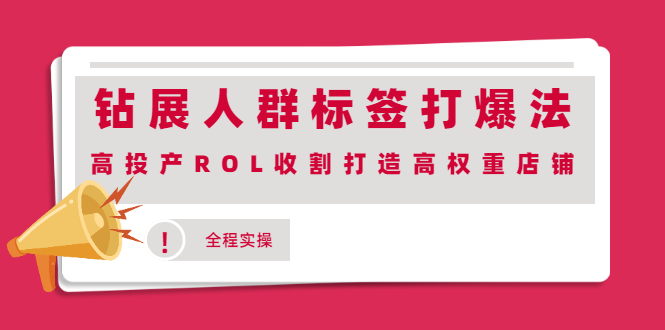 （2018期）钻展人群标签打爆法，高投产ROL收割打造高权重店铺(全程实操)-狂神云浏览专注活动，软件，教程分享！总之就是网络那些事。