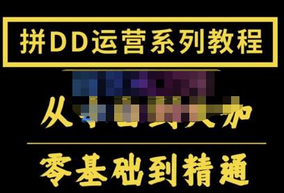 2022全套拼多多核心实操课程，从0-1轻松起链接实战，低投入高产出运作店铺-狂神云浏览专注活动，软件，教程分享！总之就是网络那些事。