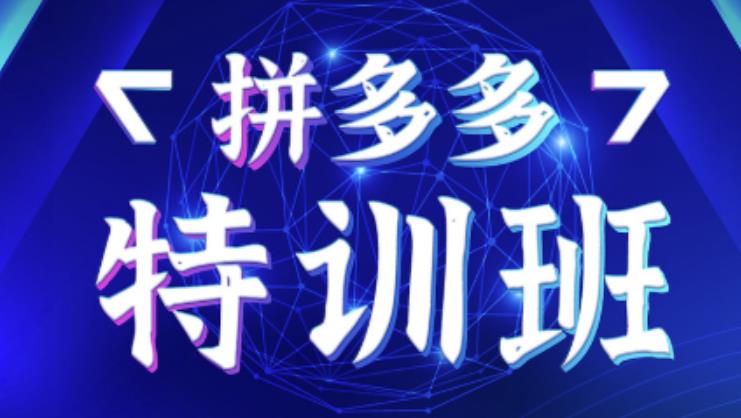 星雪教育·拼多多基础班+进阶班+突破班，用系统的学习模式快速改变现状价值3580元-狂神云浏览专注活动，软件，教程分享！总之就是网络那些事。