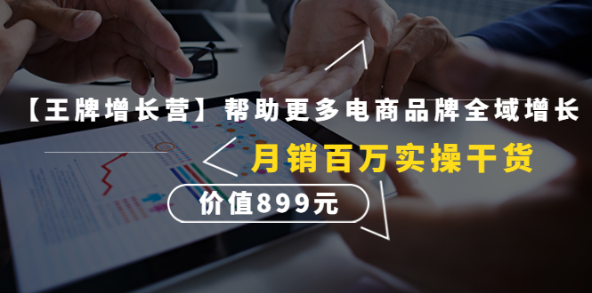 （4264期）【王牌增长营】帮助更多电商品牌全域增长，月销百万实操干货，价值899元-狂神云浏览专注活动，软件，教程分享！总之就是网络那些事。