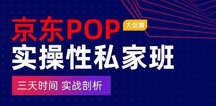 京东POP实操性私家班——大促篇，​三天时间，实战剖析-​原价4980-狂神云浏览专注活动，软件，教程分享！总之就是网络那些事。