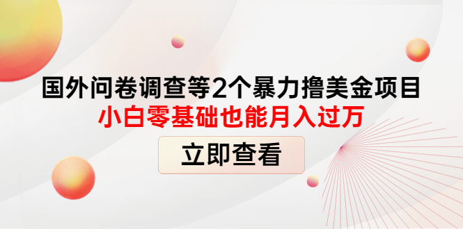 （4062期）国外问卷调查等2个暴力撸美金项目，小白零基础也能月入过万-狂神云浏览专注活动，软件，教程分享！总之就是网络那些事。