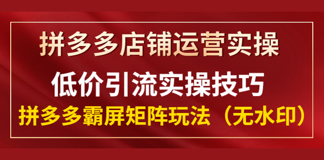 （1342期）拼多多店铺运营实操，低价引流实操技巧，拼多多霸屏矩阵玩法（无水印）-狂神云浏览专注活动，软件，教程分享！总之就是网络那些事。