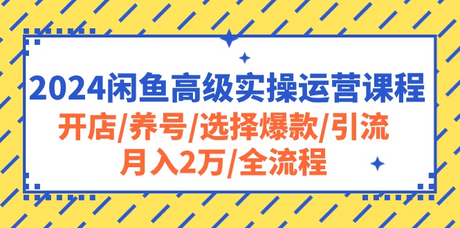 （10711期）2024闲鱼高级实操运营课程：开店/养号/选择爆款/引流/月入2万/全流程-狂神云浏览专注活动，软件，教程分享！总之就是网络那些事。