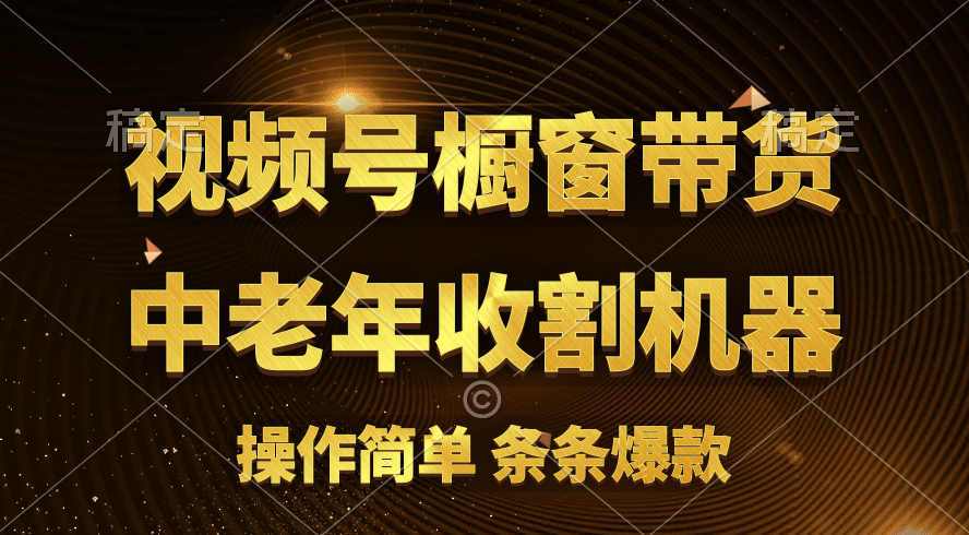 （11009期）[你的孩子成功取得高位]视频号最火爆赛道，橱窗带货，流量分成计划，条…-狂神云浏览专注活动，软件，教程分享！总之就是网络那些事。