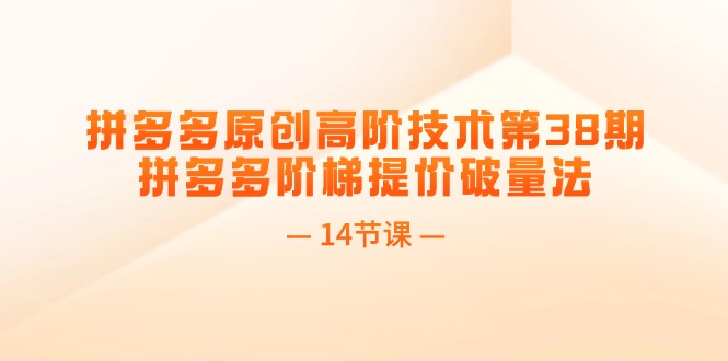 （11704期）拼多多原创高阶技术第38期，拼多多阶梯提价破量法（14节课）-狂神云浏览专注活动，软件，教程分享！总之就是网络那些事。