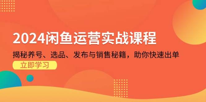 （13290期）2024闲鱼运营实战课程：揭秘养号、选品、发布与销售秘籍，助你快速出单-狂神云浏览专注活动，软件，教程分享！总之就是网络那些事。