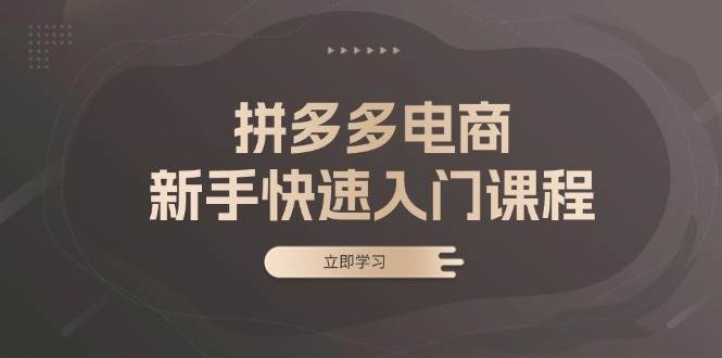 （13289期）拼多多电商新手快速入门课程：涵盖基础、实战与选款，助力小白轻松上手-狂神云浏览专注活动，软件，教程分享！总之就是网络那些事。