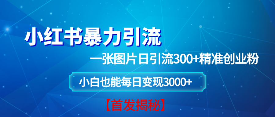 （13935期）小红书暴力引流法，一张图片日引 300+精准创业粉，每日稳定变现 3000+【揭秘】-狂神云浏览专注活动，软件，教程分享！总之就是网络那些事。