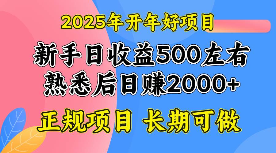 （14076期）2025开年好项目，单号日收益2000左右-狂神云浏览专注活动，软件，教程分享！总之就是网络那些事。